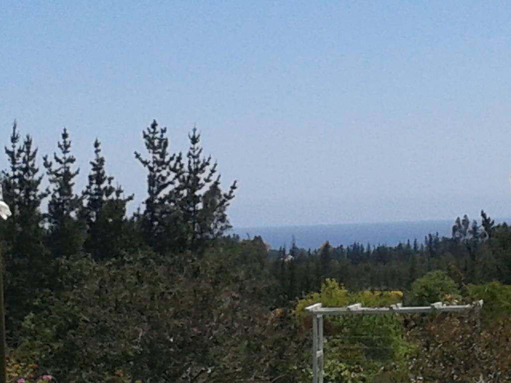Cabanas La Querencia De Algarrobo Exterior foto