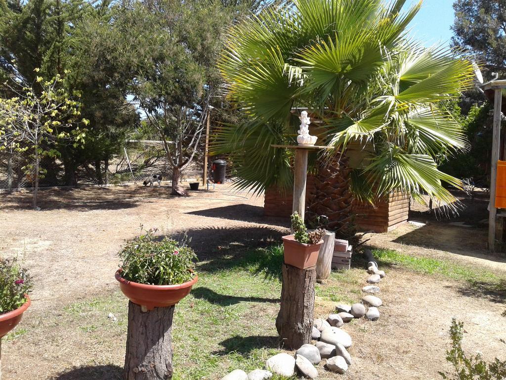 Cabanas La Querencia De Algarrobo Exterior foto