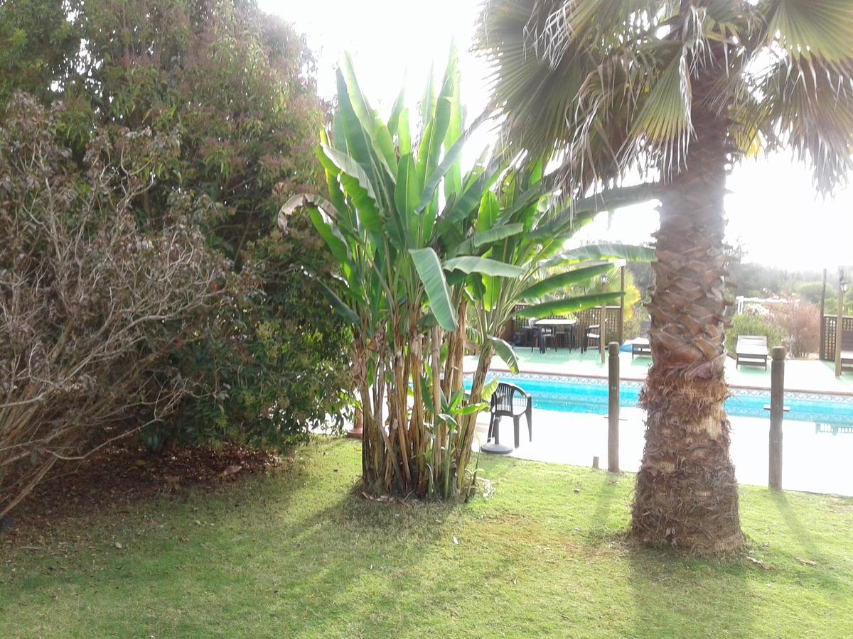Cabanas La Querencia De Algarrobo Exterior foto